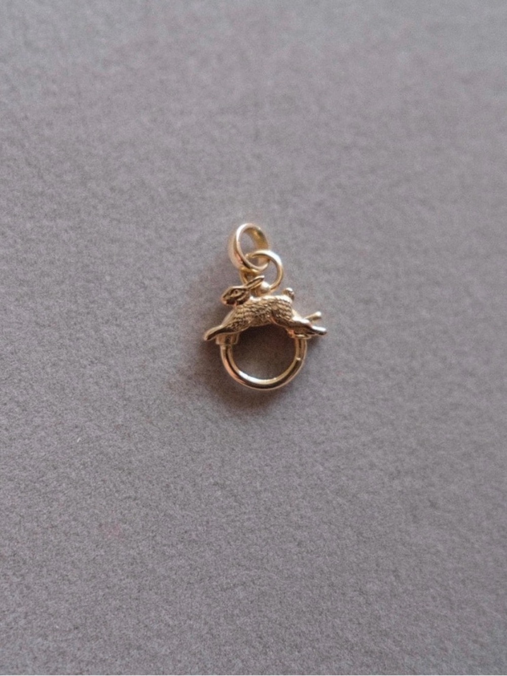 ISO!!! LUCKY RABBIT CLASP PENDANT
